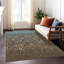 Tapis abstrait lavable à la machine intérieur / extérieur ACN2567-548013959-548013962