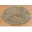 Cyrah Beige Rug-564409018