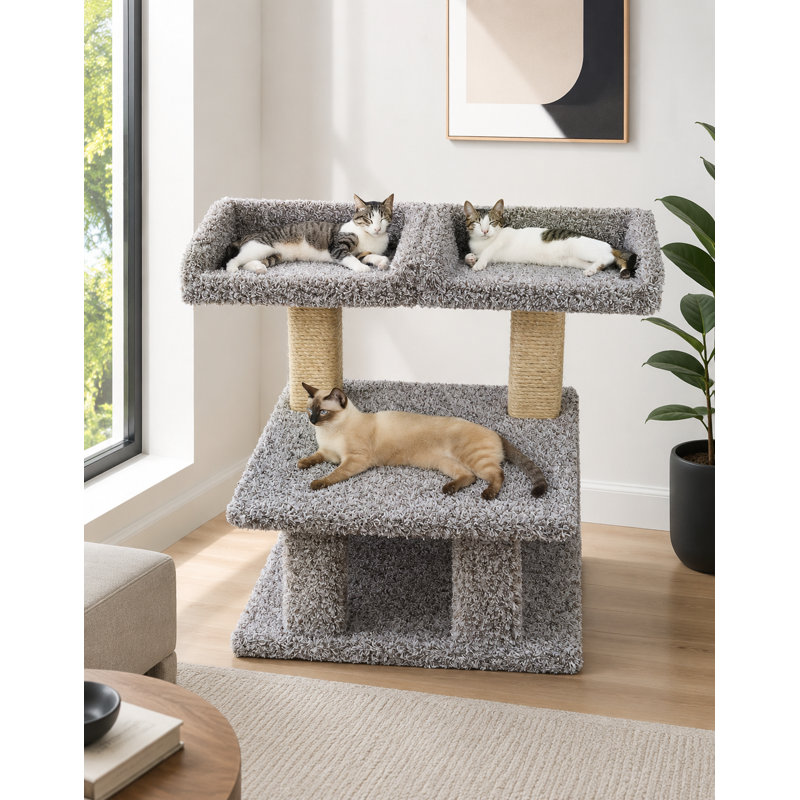 New Cat Condos Extra Large Cat Post with Dual Window Perches