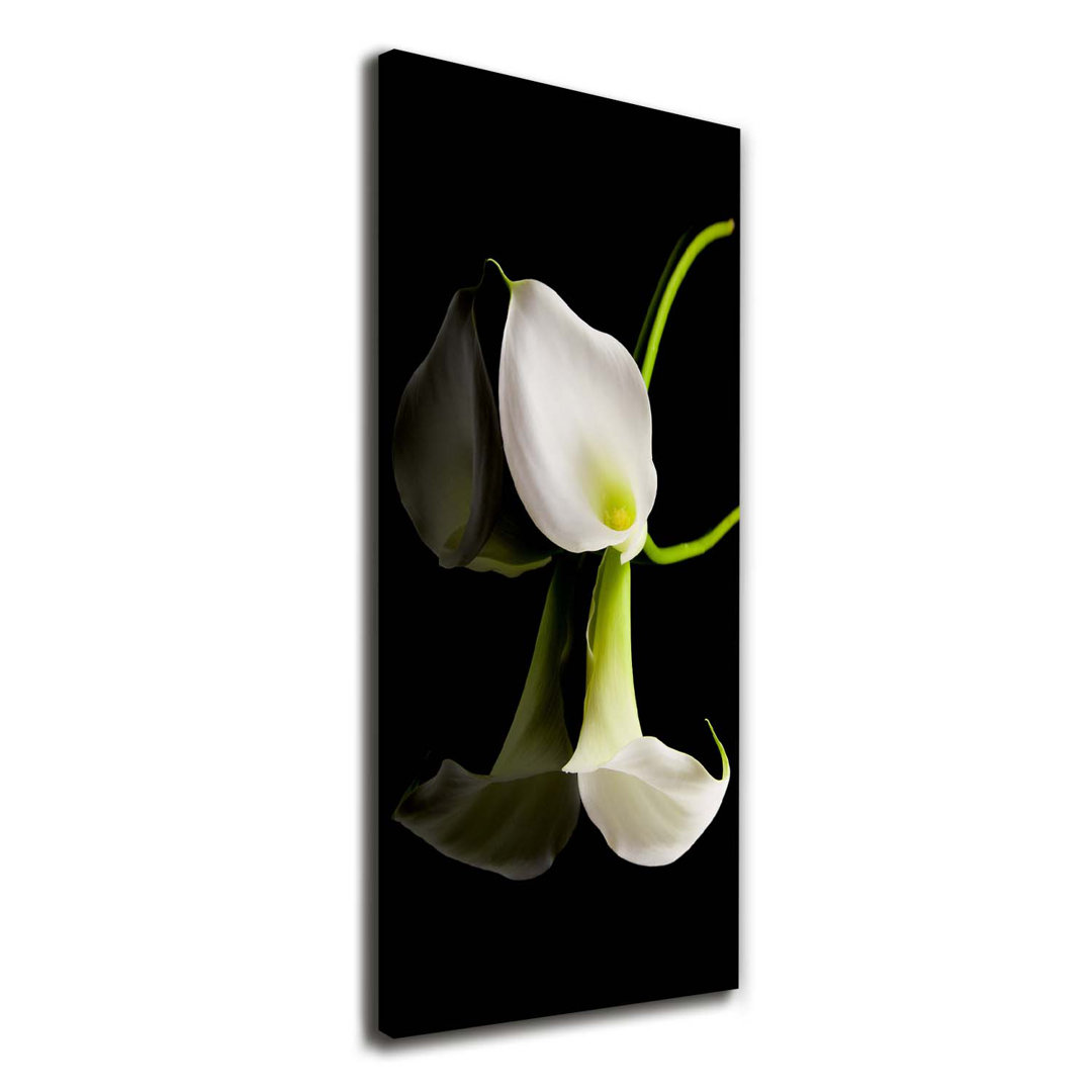 White Calla - Kunstdrucke auf Segeltuch