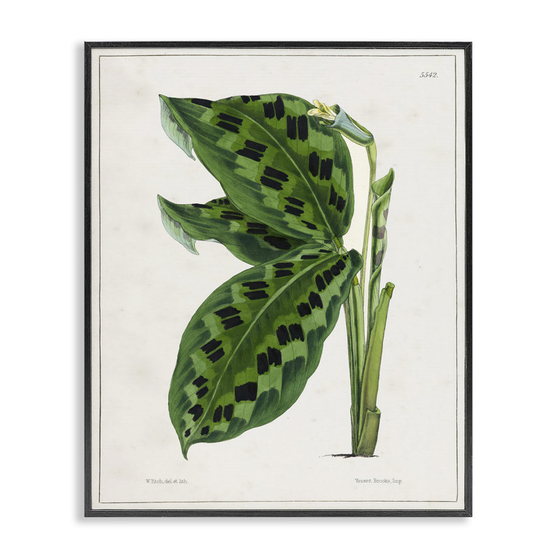 «Gullee Art» par Tina Higgins Designs, Inc., Giclée encadrée noir minuit, H 14 po x l 11 po