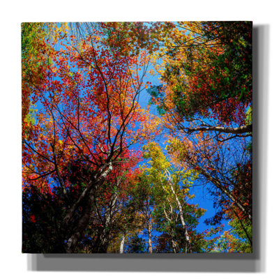«Colorful Autumn» par Lena Owens, art mural sur toile
