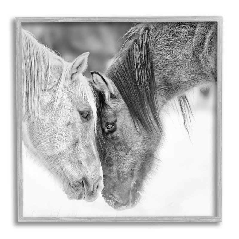 «Horse Hug» par PH Burchett, reproduction sur bois, H 12 po x l 12 po, Estampe numérique Farmhouse