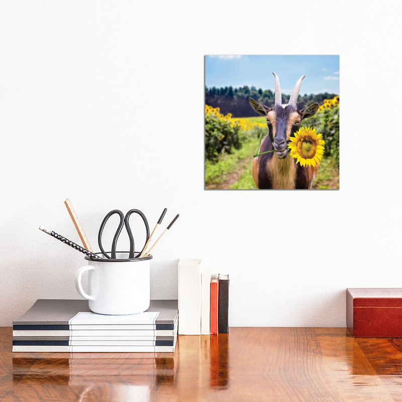 Goat In Sunflowers by Karen Burke - Wrapped Canvas Print, 30.48cm H x 30.48cm W x 1.905cm D