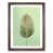 Walnut Framed selected