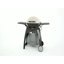 Barbecue au gaz naturel portable à 2 brûleurs en titane avec thermomètre intégré Q 3200-43410565