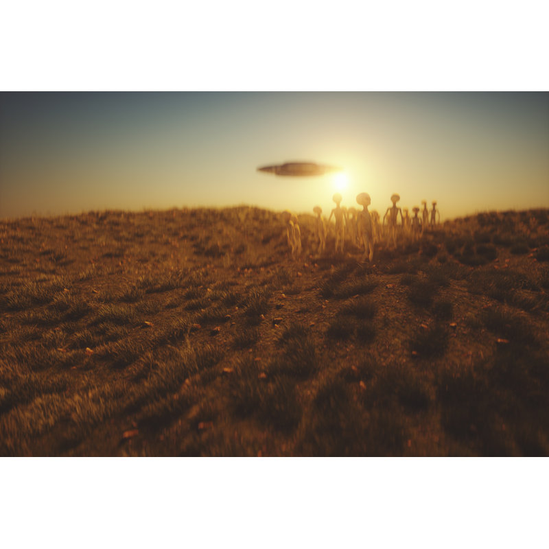 Aliens Have Landed by Gremlin - Wrapped Canvas Print, 61cm H x 91cm W x 3.8cm D
