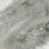 Gray/Gunmetal selected