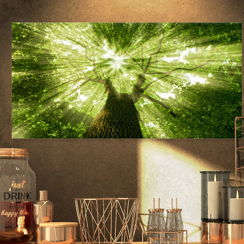 Sunlight Peeking Through Green Tree - impression d'art graphique, H 15 po x l 20 po x p 1 po, Bois