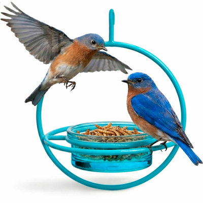 Mangeoire à oiseaux avec plateau