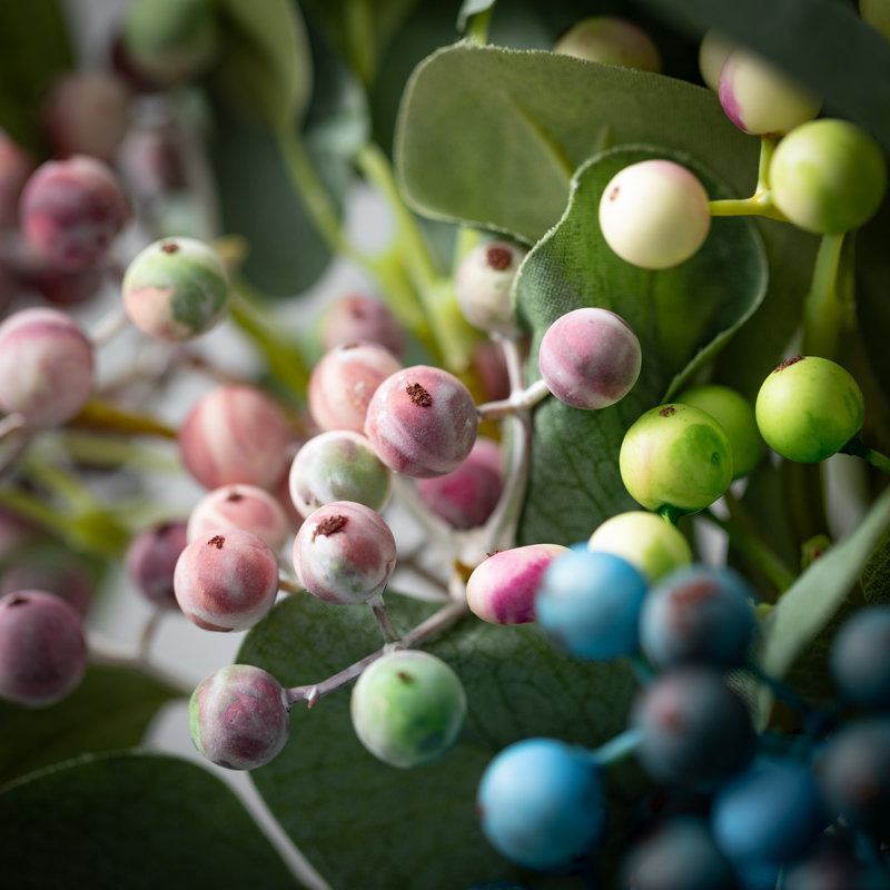 Riche pulvérisation d'eucalyptus de Sienne
