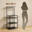 Storage Shelf-1702338984
