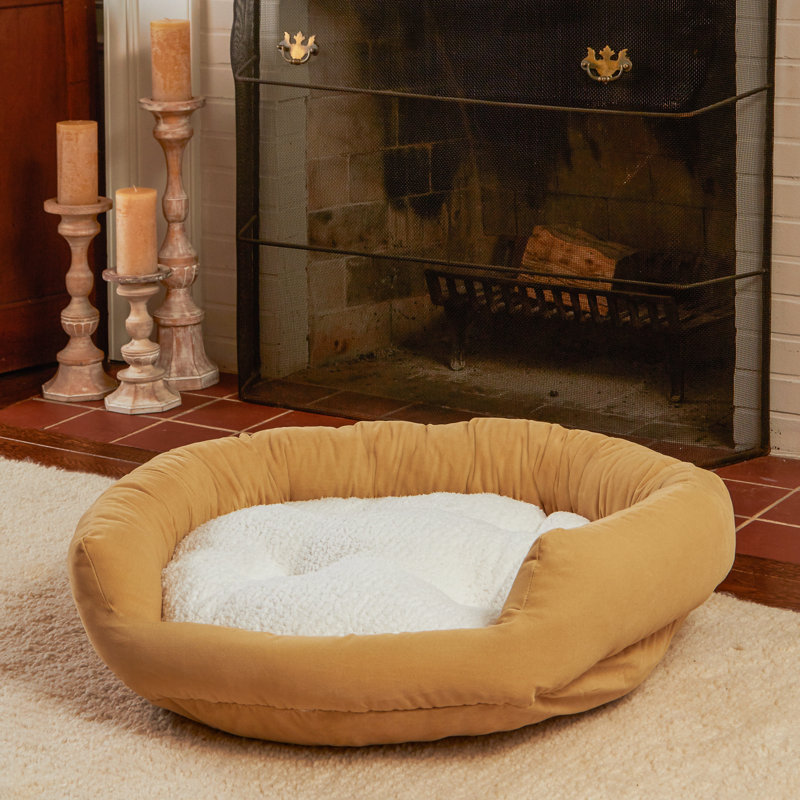 Lit pour chien Chamari Donut, Moyen (l 32 po x P 32 po x H 8 po), Crème au beurre