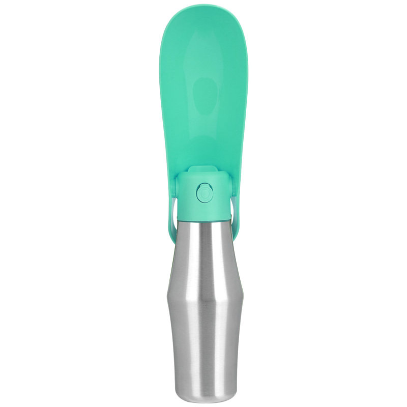 Edge Collections 25oz. Glass Water Bottle, Green