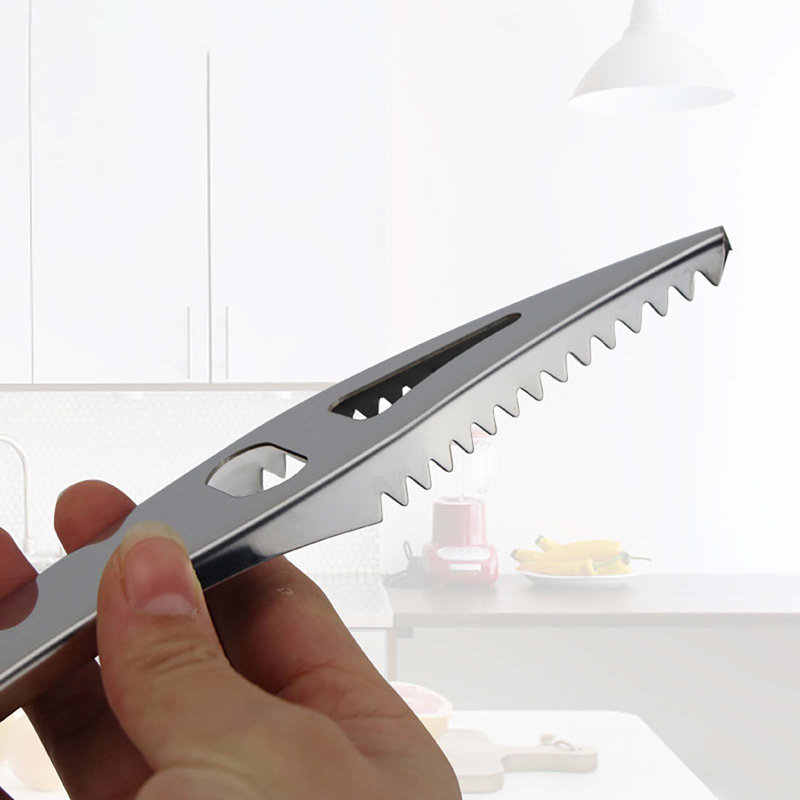 Décapant de poisson en acier inoxydable Nettoyeur d'outils de cuisine