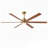Large Solid Wood Ceiling Fan Light Kit with Remote Control-1498677171