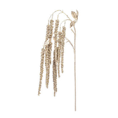 Amaranthus Arrangement
