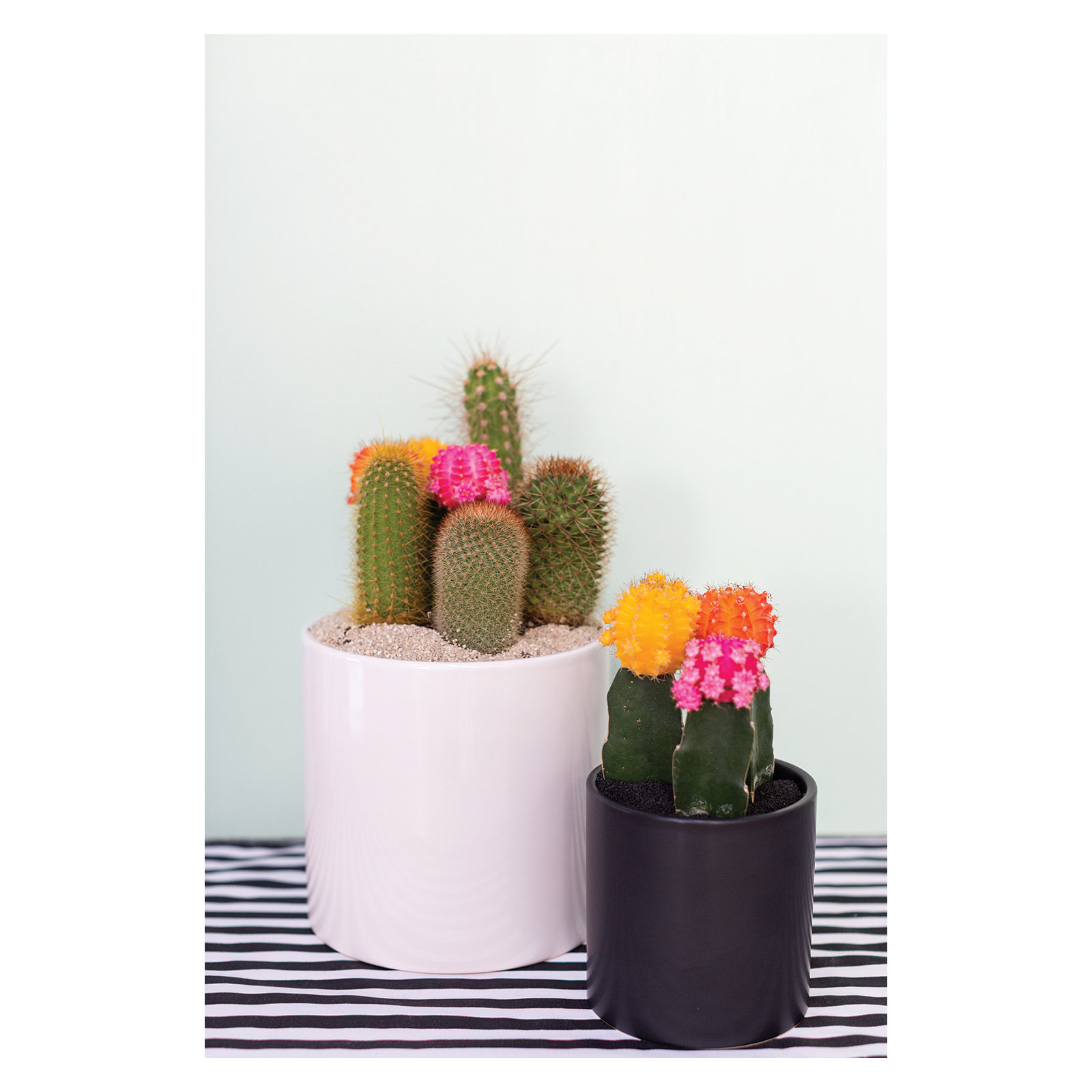 Handmade Ceramic Pot Planter, 4.25" H x 4.25" W x 4.25" D, Matte Black