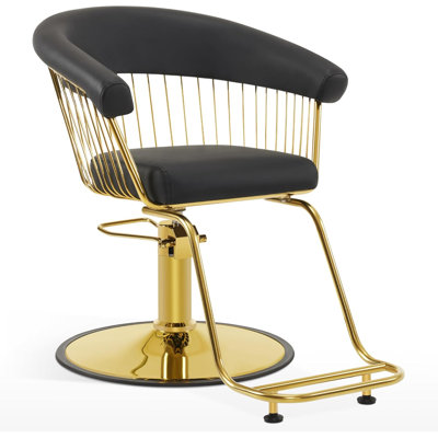 Fauteuil de salon hydraulique, fauteuil de coiffeur de style classique pour coiffeur