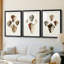 Sowerby Shells I - Impression personnalisée de qualité supérieure avec cadre mat - 3 pièces-410746889-410746885