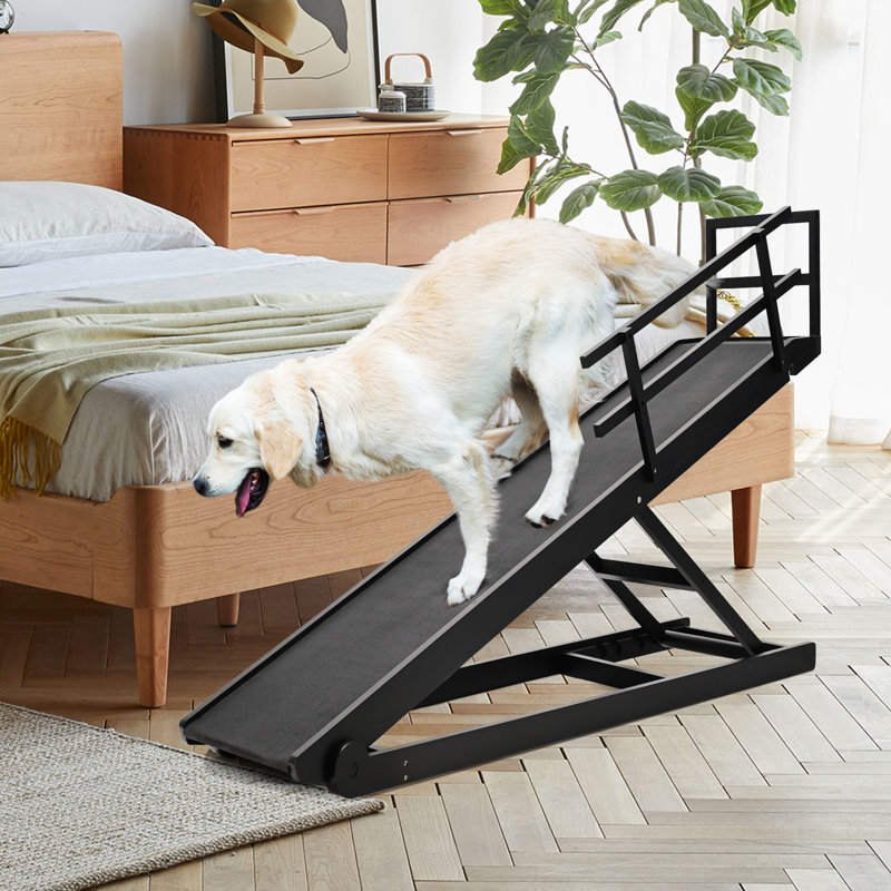 Rampe pliante en bois pour chien Almeric, 55 po noir