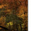 'Autumn Barn' Photographic Print on Wrapped Canvas-22069216