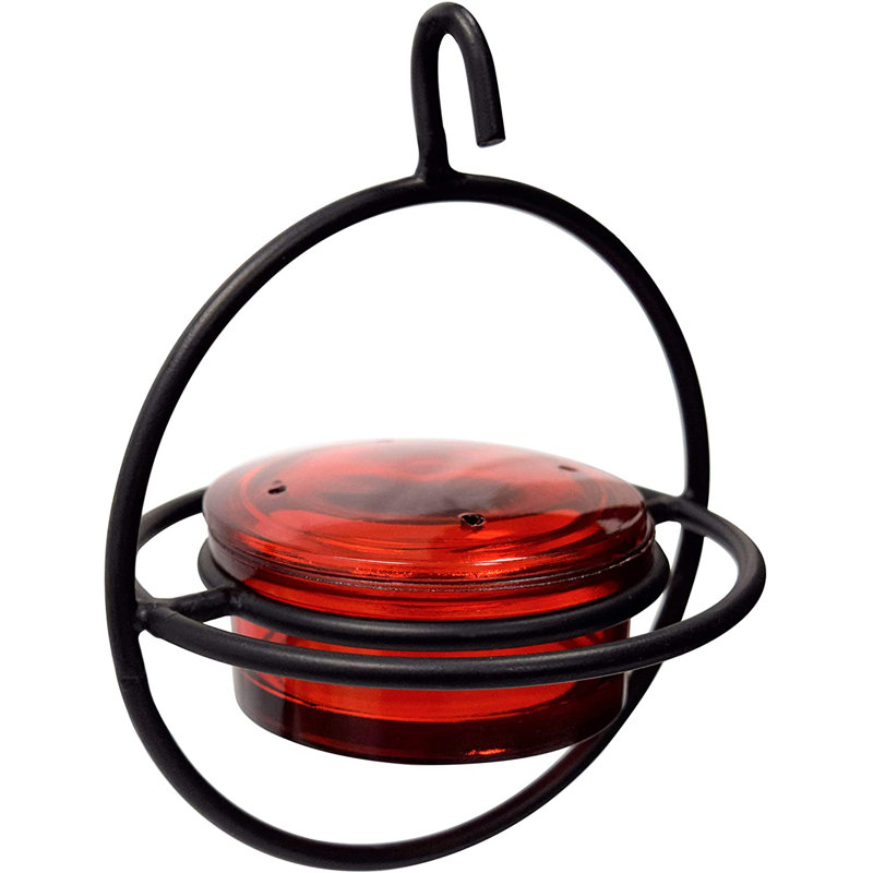 Mangeoire circulaire suspendue à la main avec bol en verre rouge et perchoir pour jardin