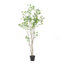 Pieris artificiel-1341383467