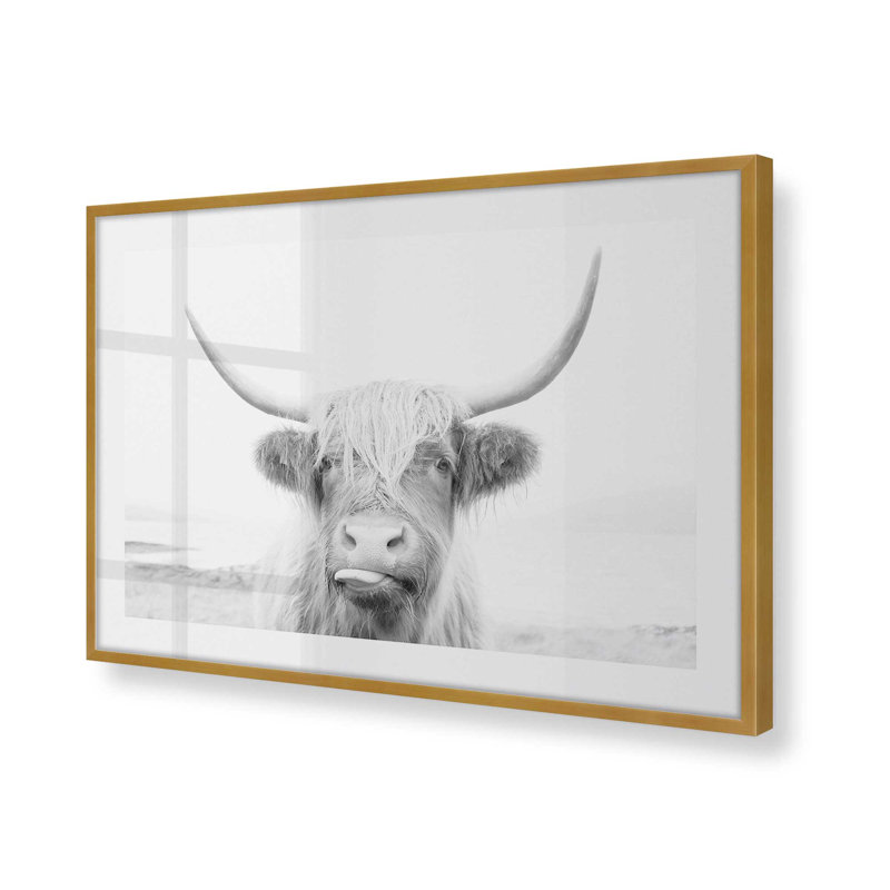 Imprimé de vache Highland ludique, Cadre doré poli, H 17,25 po x l 21,25 po x P 1,25 po