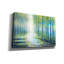 «Epic Graffiti 'Forest Path At Twilight» par Marc Todd, art mural sur toile-102023350