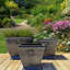Boîte à fleurs Bramhall-835781448
