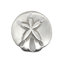 Petit bouton Sand Dollar (ensemble de 2)