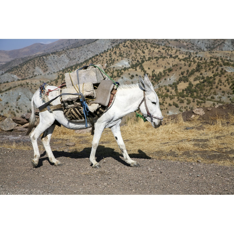 Pack horse 1 Piece Wrapped Canvas Wall Art, 30cm H x 46cm W