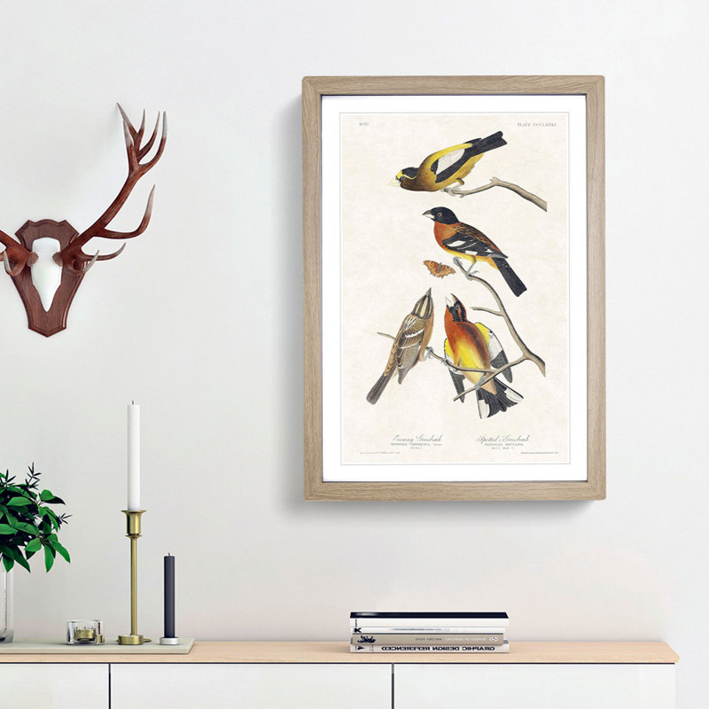 Grosbeak Birds by John Audubon - Picture Frame Painting Print, Oak Framed, 36cm H x 27cm W x 2cm D