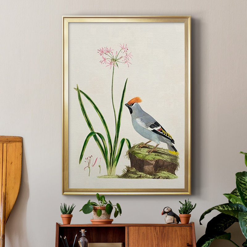 Bird in Habitat II, reproduction encadrée de qualité supérieure - prête à être accrochée, Or, H 42,5 po x l 30,5 po x P 1 po