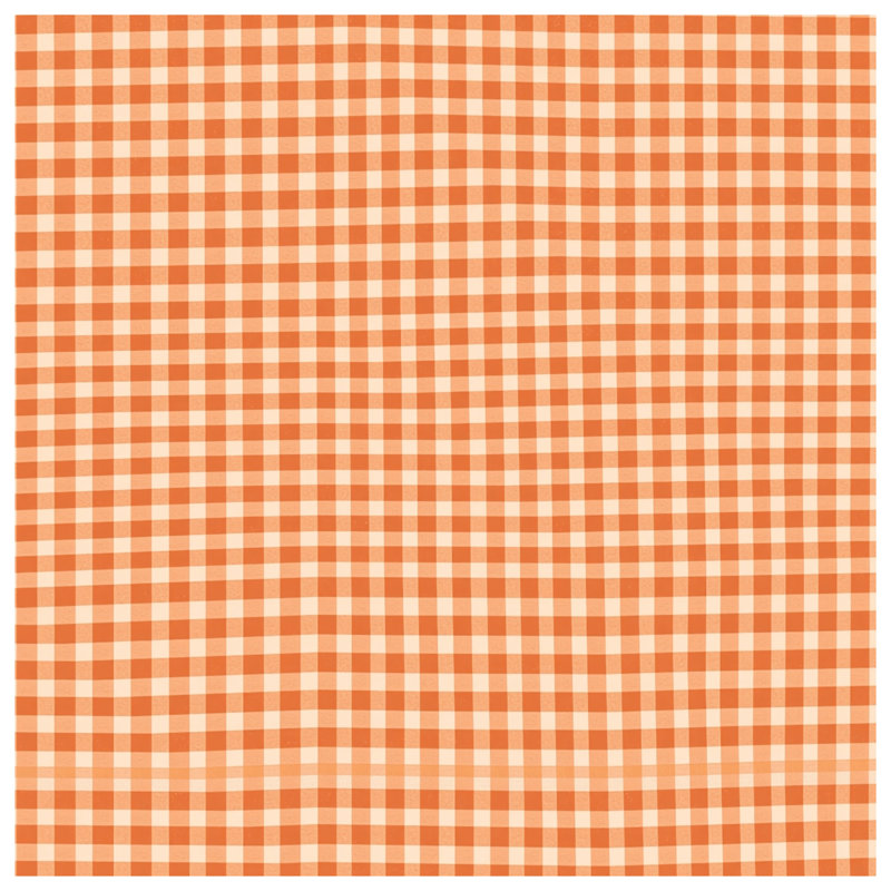 Tapis de bain orange vichy blanc, L 34 po x L 21 po