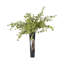 Vase élégant-994683027