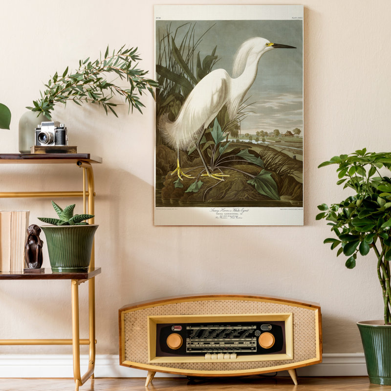 «Pl 242 Snowy Heron», reproduction d'art sur toile tendue, H 27 po x l 18 po x P 1 po