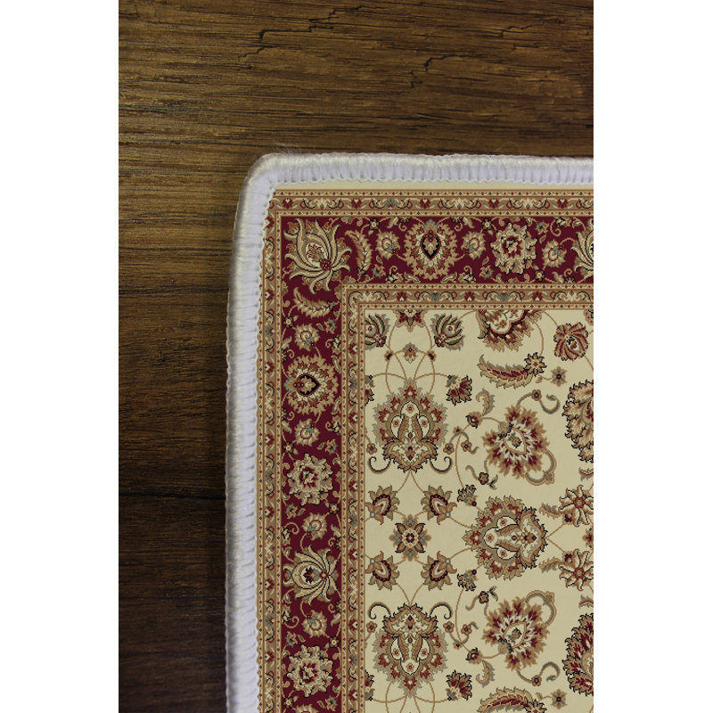 High-Quality Area Rug, Brown, 23.6 x 39.4 inches | 100% Polyester, 650 g/m² | Antibacterial, Eco-Friendly, Non-Slip PVC Dot Underside | Machine Washable, Perfect for Living Room, Bedroom & Home Decor