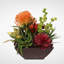 Succulent Plant in Planter