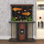 Aquariums à coins arrondis avec base décorative Hot-Bent