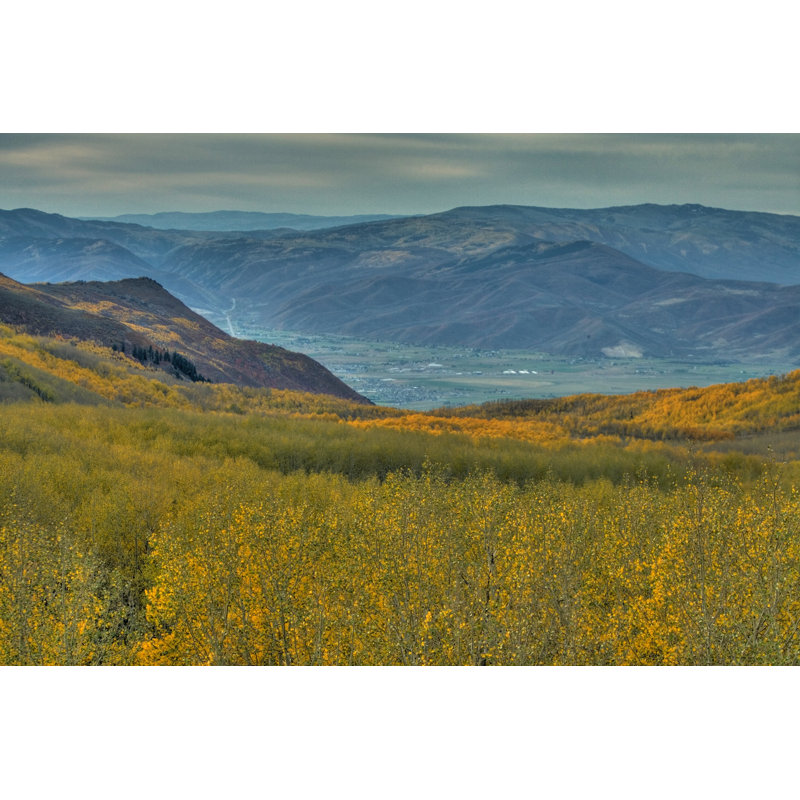 Aspens In The Heber Valley by Rhyman007 - Wrapped Canvas Print, 81cm H x 122cm W x 3.8cm D