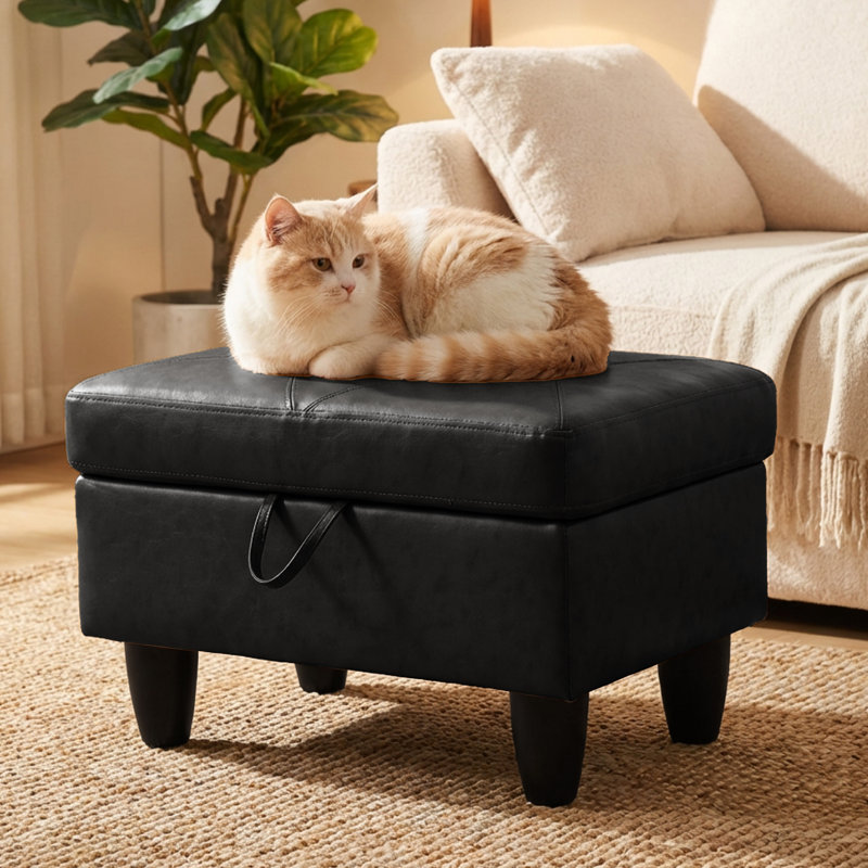 Banc rectangulaire avec repose-pieds avec rangement, repose-pieds en similicuir avec couvercle à charnière, tabouret de table basse pour le salon, la chambre à coucher, le vestibule, noir