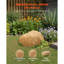 No Subject Garden Stone