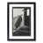 Black Framed
