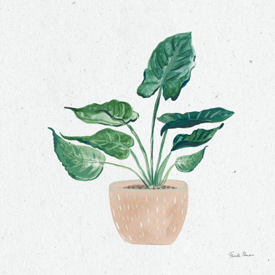 Home Garden III