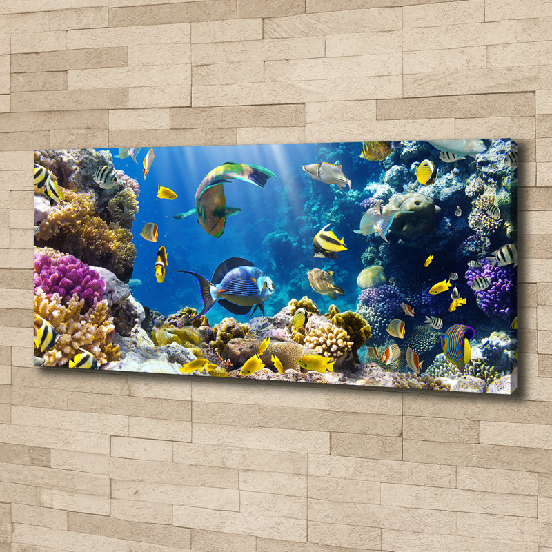 Coral Reef - No Frame Print on Canvas