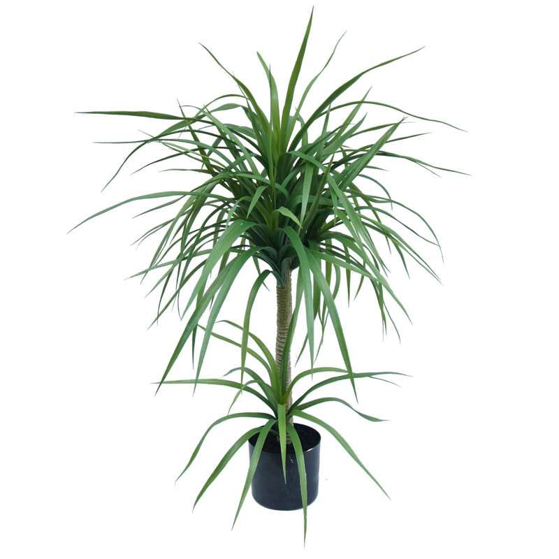Annitte Faux Palm Tree in Pot Liner, 90cm H x 60cm W x 60cm D