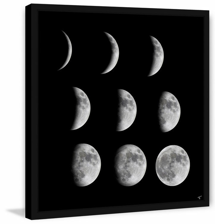 Phases of the Moon III - Reproduction d'art graphique encadré, H 32 po x l 32 po x P 1,5 po