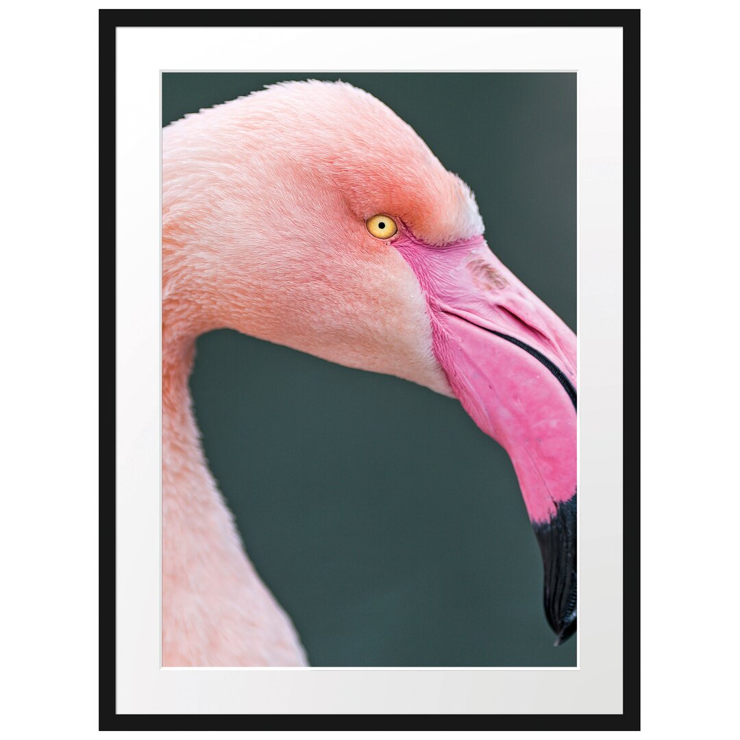 Flamingo Seitenprofil" Gerahmtes Fotoposter